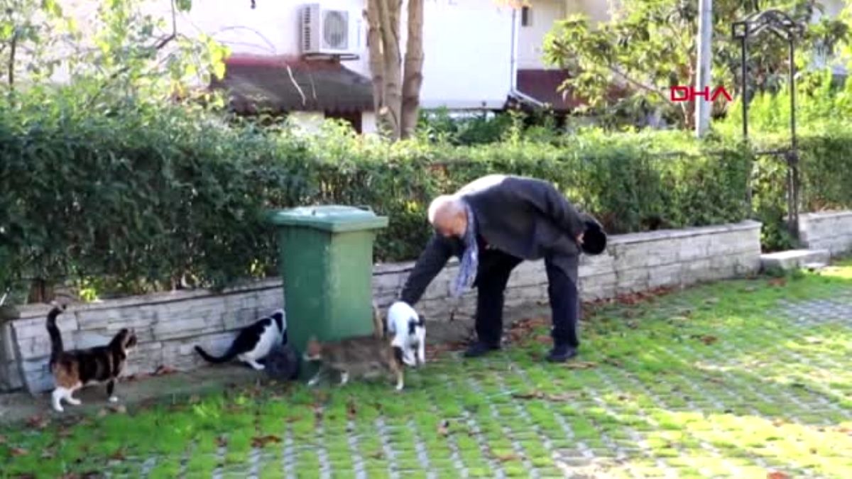 Tekirdağ rus natalia nın kedilerinin zehirlenmesine polis soruşturması