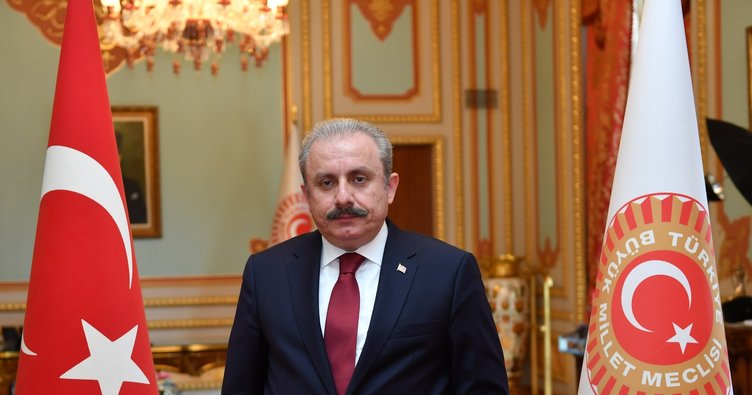 T.B.M.M BAŞKANI PROF. DR. MUSTAFA ŞENTOP;”BİZ BİRLİKTE TÜRKİYEYİZ.”