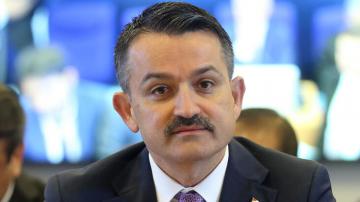 53 milyon liralık çoban desteği ödemeleri başlıyor…