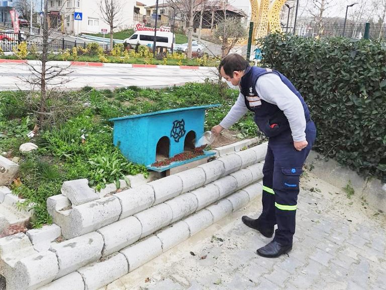 SOKAKTAKİ CANLAR SÜLEYMANPAŞA BELEDİYESİ’NE EMANET