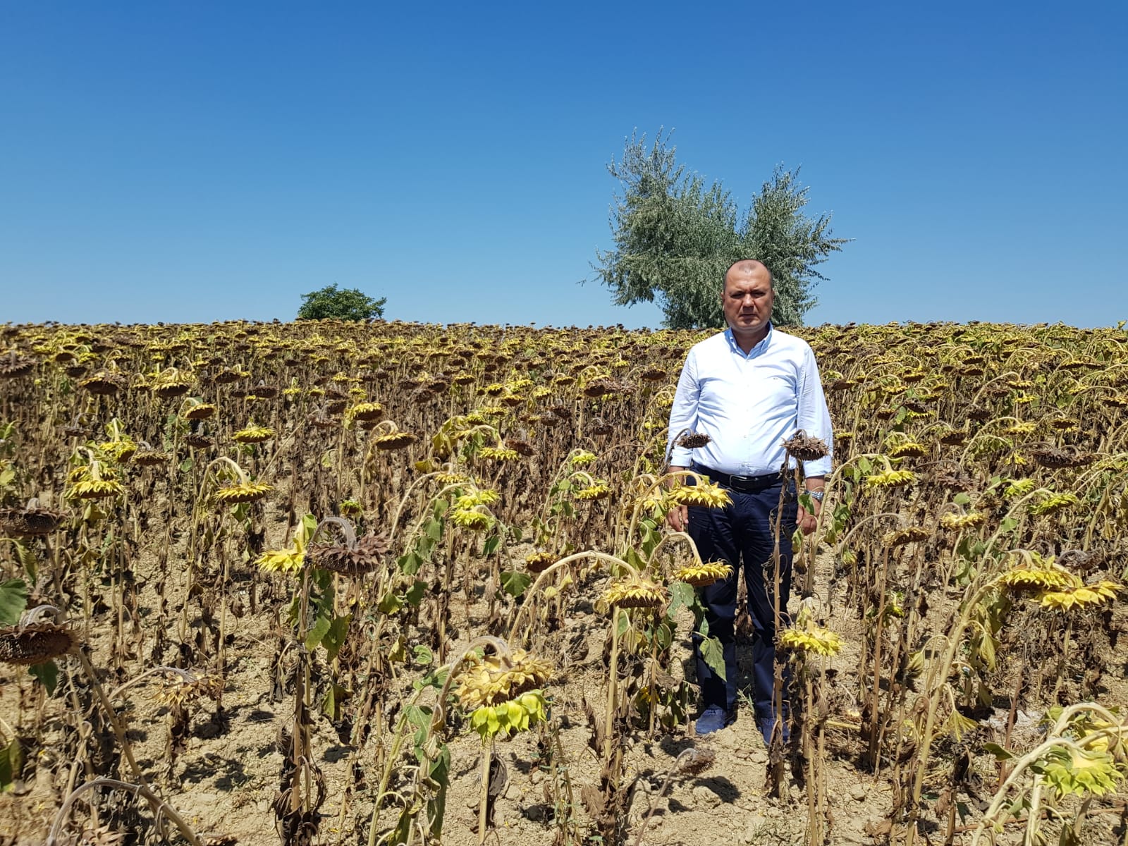TARIM BİR ÜLKENİN GIDA GÜVENCESİDİR
