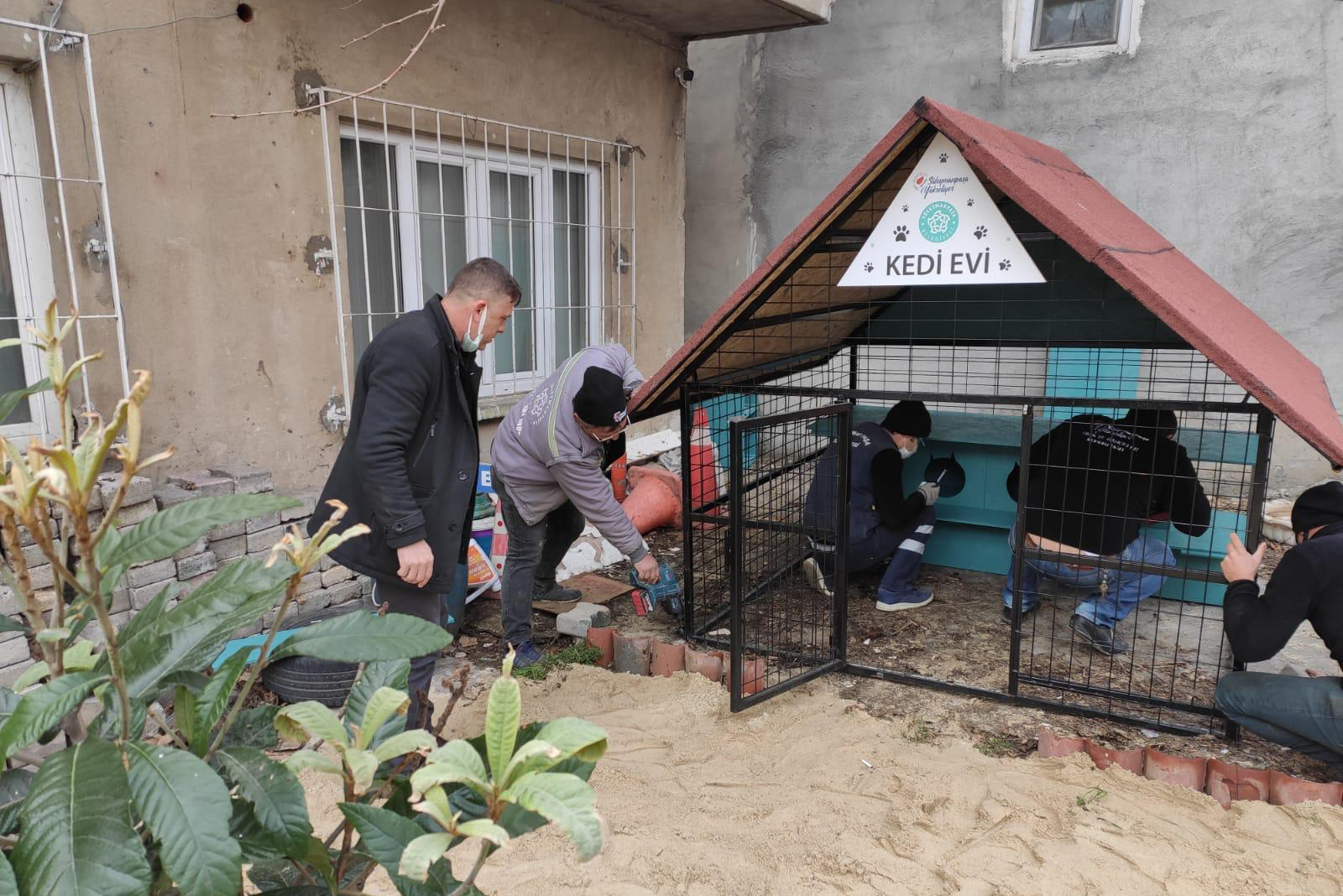 KEDİ OTELİ HİZMETE GİRDİ