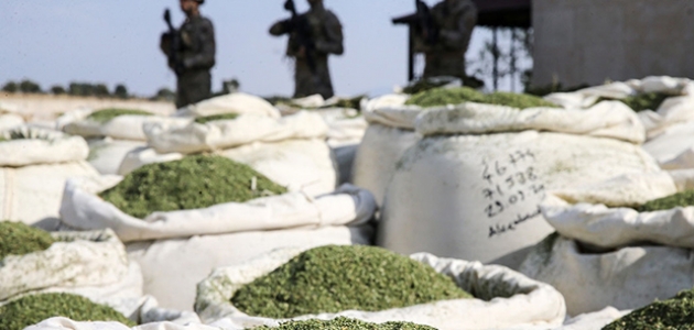 Türkiye tarihinde ilk 1,5 Ton Esrar Yakalandı.