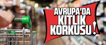Rusya’nın Ukrayna’yı işgali Avrupa’da tedarik zincirlerini vurabilir!