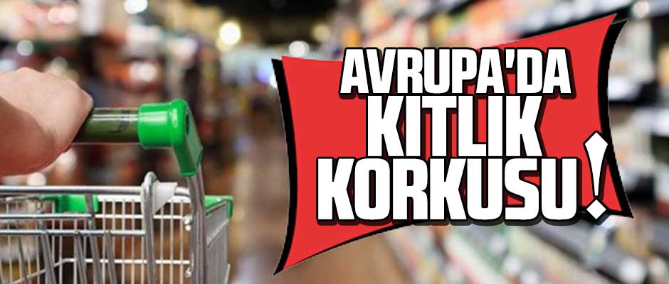 Rusya’nın Ukrayna’yı işgali Avrupa’da tedarik zincirlerini vurabilir!