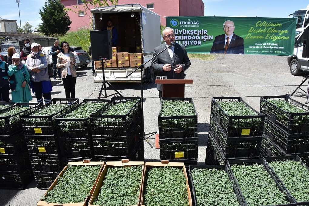 BÜYÜKŞEHİR ÇİFTÇİYE DESTEĞİNİ SÜRDÜRÜYOR