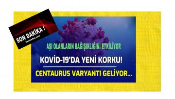 Covid-19’da yeni varyant Centaurus ürkütüyor!