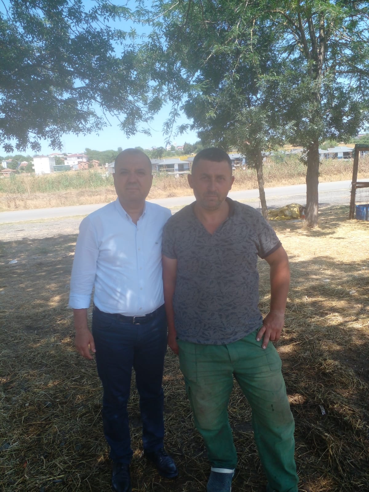 Aygun; KURBANLIK HAYVAN PAZARINDA SIKINTI BÜYÜK