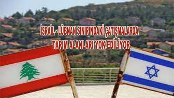 İsrail’in Lübnan’a yönelik saldırılarında çok sayıda zeytin ağacı yok oldu…